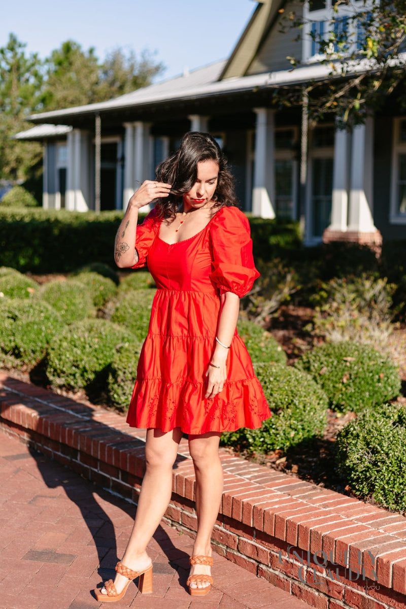 Davina Puff Sleeves Fit & Flare Eyelet Dress